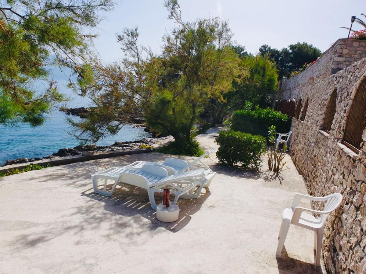 Apartmenthaus Punta **** Apartma *